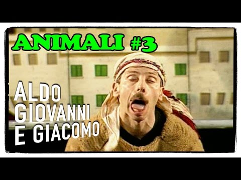Gli Animali: il cammello (3 di 3) - I Corti di Aldo Giovanni e Giacomo