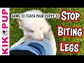 STOP Biting Legs Puppy Training