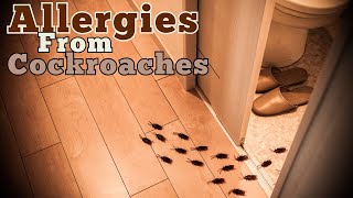 How Cockroaches Spread Allergens in Homes