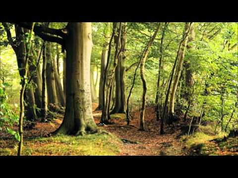 Muzika za opustanje i smirenje - Secret of the Elves, terapeutska, Opusti se, uzivaj, HD