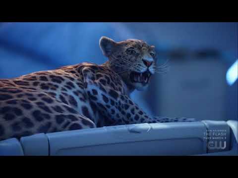 Black Lightning 4x02 Grace's leopard form #ThunderGrace