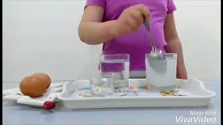 Опыт с куриными яйцами