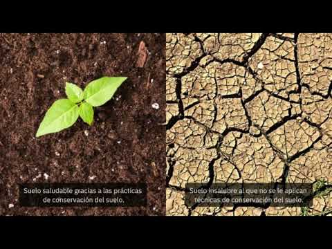 Video sobre la situacion climatica de las veredas del magdalena