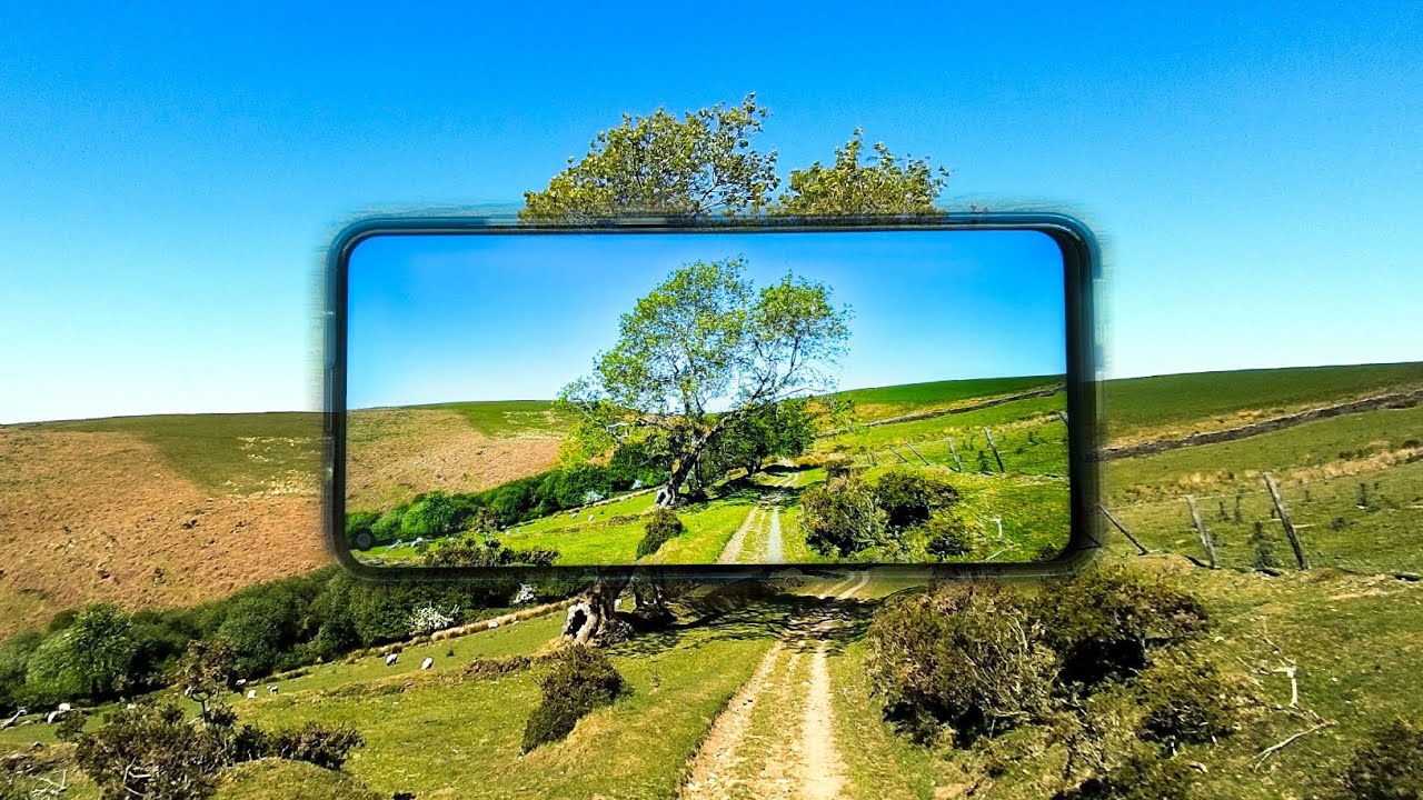 TCL 10L - Ultimate Video Test!