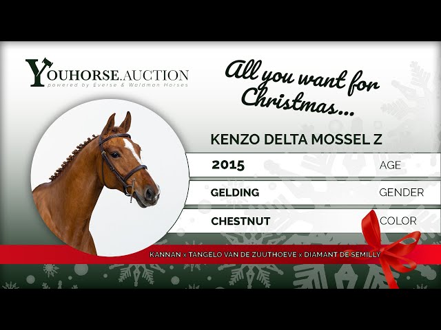 Kenzo Delta Mossel Z @ Show