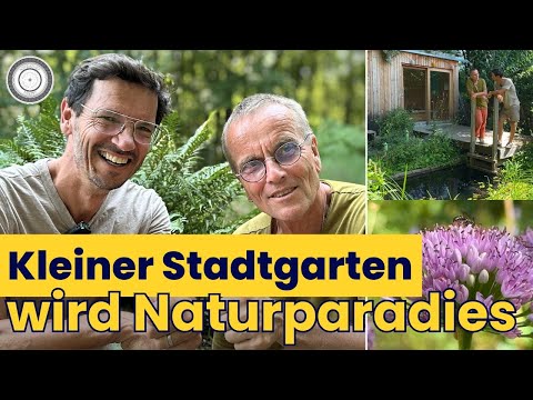 HOW DO YOU APPROACH IT? Our professional tips for 5 different garden areas