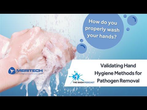 Ep 6 - The Wash Podcast: Manual Hand Hygiene 101 for Food Safety