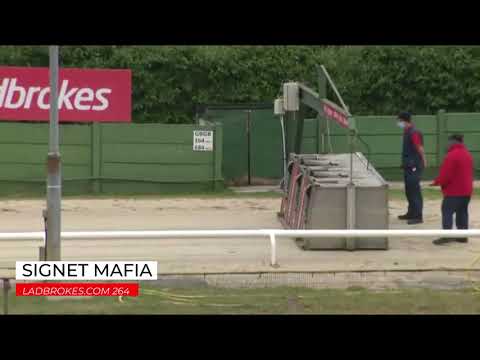 Signet Mafia - LADBROKES COM 264