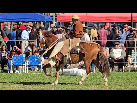 Fiesta patria en Wheelwright santa fe con el Abuelo mas campero de la Región 🇦🇷