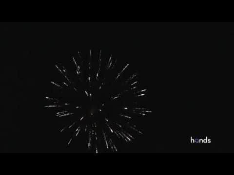 L31030   GOLD GLITTER PEONY