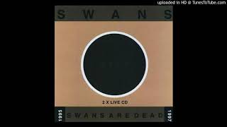 Swans-I See Them All Lined Up