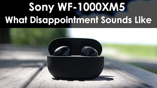 Sony WF-1000XM5 Active Noise Cancelling Earbuds Review