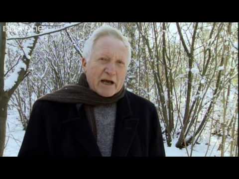 Speaking Anglo-Saxon - Seven Ages of Britain - Series 1 Episode 1 Preview - BBC