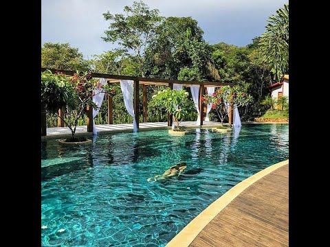 Hotel com cachoeira privativa, conheça esse paraíso em Minas Gerais