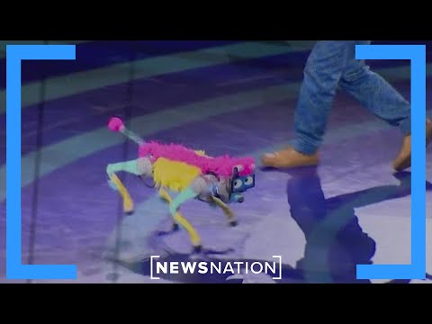 Ringling circus returns: This time, without animals | Morning in ...