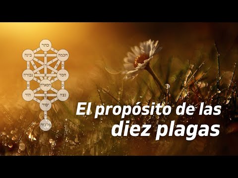 👉 EL PROPOSITO DE LAS DIEZ PLAGAS 🐪 ¿Cuál fue? o ¿Cuál es? 🤔
