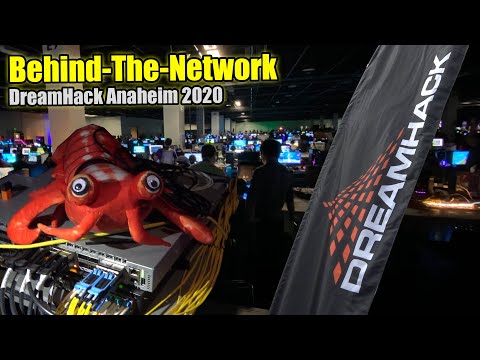 The ultimate gaming network and Steam Cache