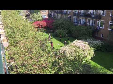 Kobra Ensemble | Tegen de Gevels Op - Bos en Lommer