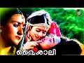 വൈശാലി Vyshaly Suparna Anand Sanjay Mitra Parvathy Jayaram Superhit Malayalam Movie HD
