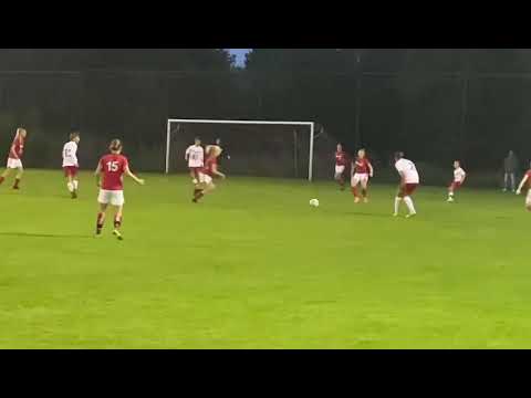 Valleivogels-saestum