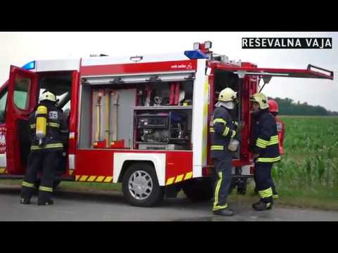 Pozdrav poletju na Pušči 2019