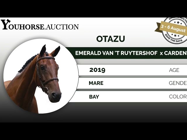 Otazu