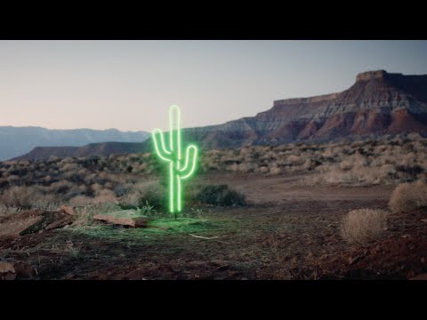 The National Parks || Wildflower (Official Music Video)