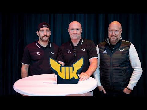 Intervju | Experterna om VIK