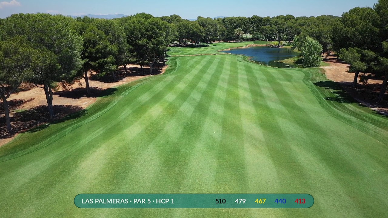 18 Las Palmeras