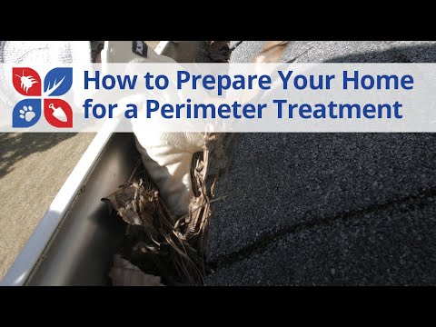  How to Prepare your Home for a Perimeter Pest Control Treatment Video 