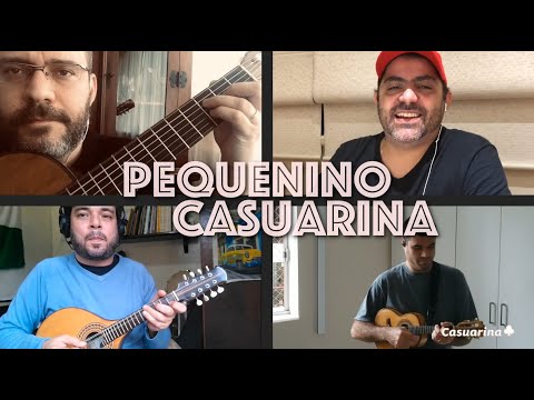 Pequenino - Casuarina