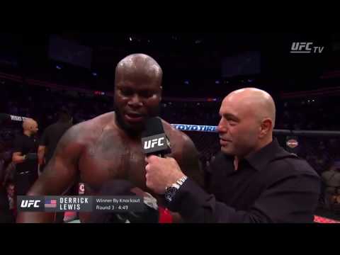 ZU WILD! Reaction zu Top Dog! Asteroid VS Kickboxer mit Fabi | Swifthands Talk