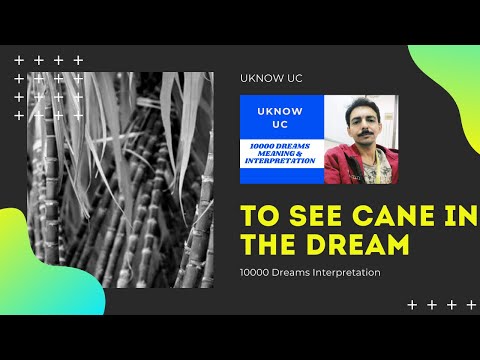 Dream of Cane & 10000+ Dream Meaning YouTube Video