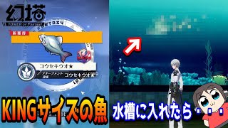 【幻塔】KING魚を釣り上げ水槽に入れた結果！？（Tower of Fantasy）