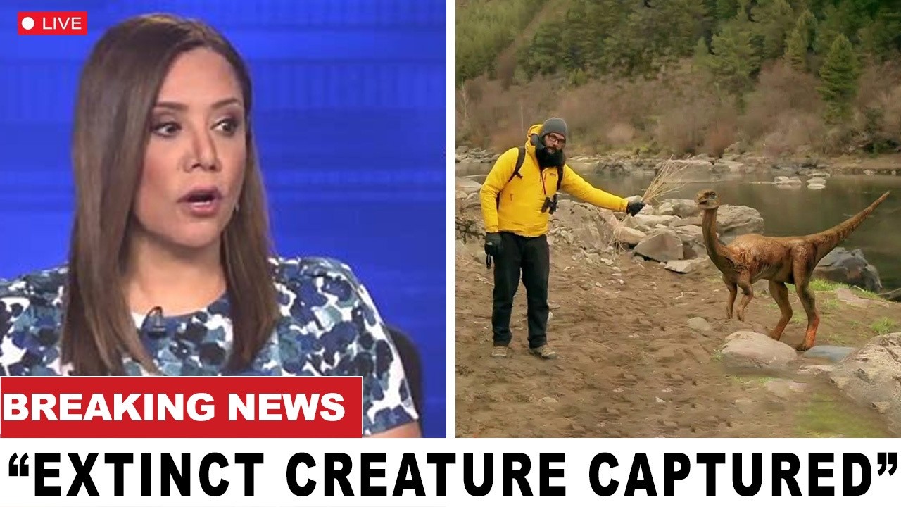 30 Extinct Animals That Got Caught On Camera & Shocked the Whole World