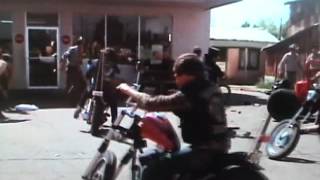 Black Bananas "It's Cool"