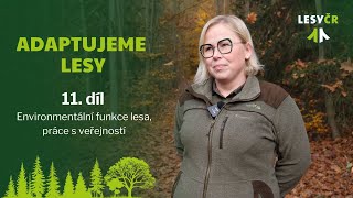 Adaptujeme lesy – 11. díl