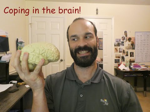 Coping with Corona - The brain