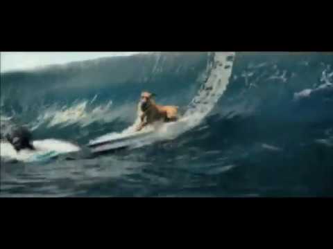 marmaduke kills a dog