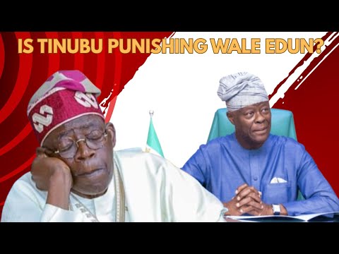 Is Tinubu Punishing Wale Edun?