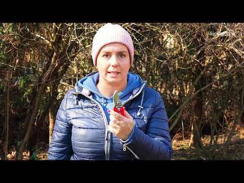 Sekator podręczny - codzienny.