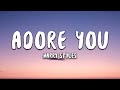 Harry Styles - Adore You (Lyrics)