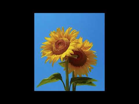 [FREE] JID x Isaiah Rashad x GoldLink Chill Type Beat | "Sunflower"