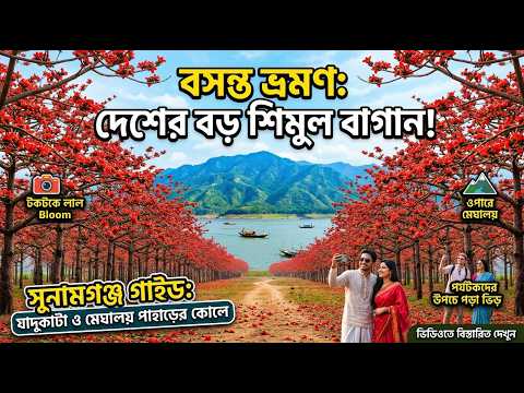 বসন্তে ঘুরে আসুন সুনামগঞ্জের শিমুল বাগান