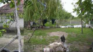 preview picture of video 'Mokrin ein kleine spazier durch das Roma teil von stadtchen'