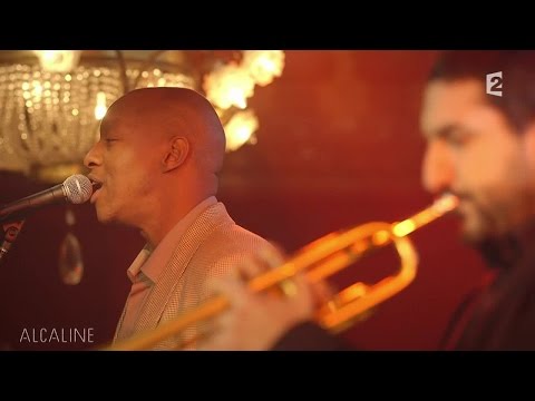 Alcaline, le Mag : Ibrahim Maalouf et Oxmo Puccino - Les Conseils d'une Chenille en live