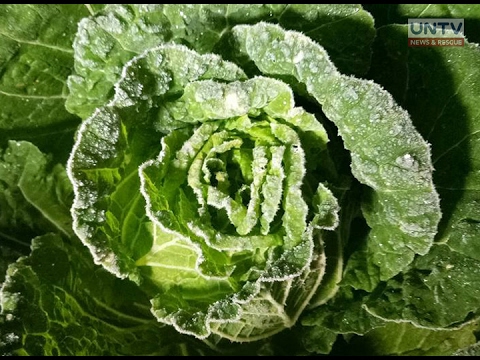 Image result for Bulacan airport