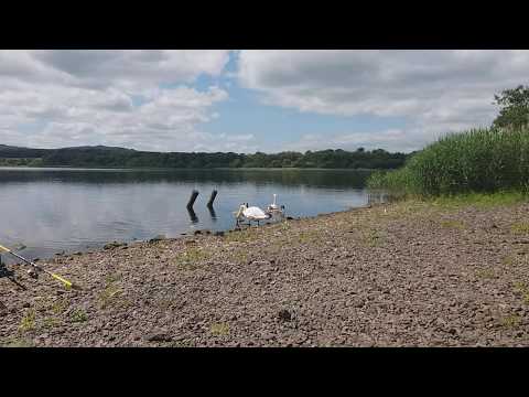 Návštěva na rybách