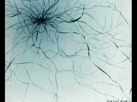 Exivious - All That Surrounds (full)