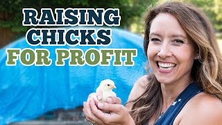 I Earned an EXTRA $2500 in 8 Weeks by doing this ONE thing - How to Raise Meat Birds for Profit